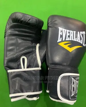 Everlast Boxing Gloves 003