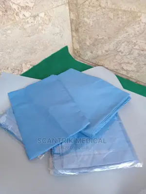 Bed Sheet With Pillow Case