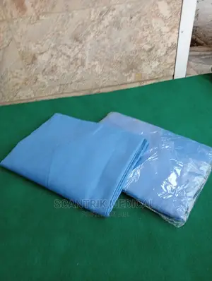 Reusable Bed Sheet and Pillows Cover