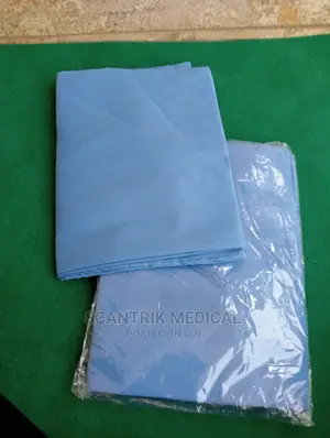 Reusable Bed Sheet and Pillows for Hospital Clinic Spa