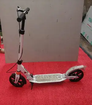 This Is Scooter for Children and Adults