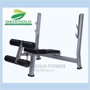 A51 Decline Weight Bench