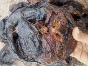 Ebi Ebi Dried Fish