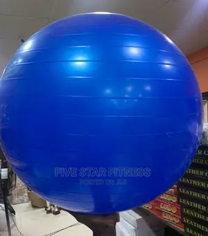 Gym Ball/Exercise Ball
