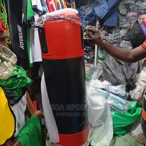 Punching/Boxing Bag , Professional