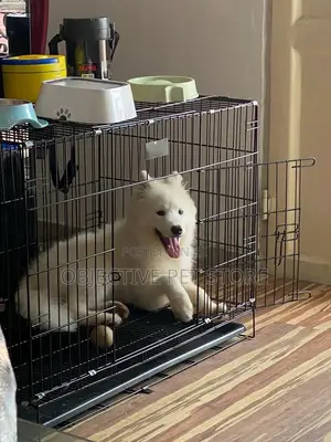 Dog,Cat, Rabbit Collapsible Cages All Sizes
