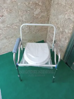 Commode Toilet Seat
