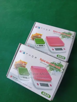 Digital Electronic Scale