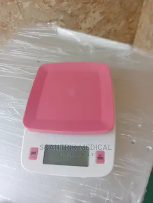 Digital Electronic Scale