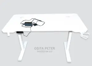 Electric Adjustable Height Desk-1.2meter