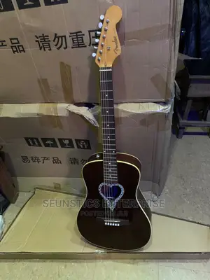 Quality Fender Alkaline Trio Malibu Acoustic Guitar