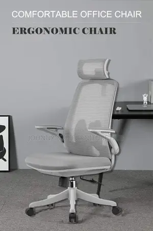 Ergonomic Office Chairs