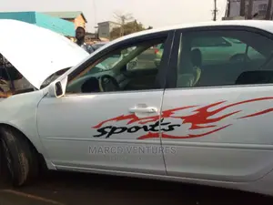 Decorative Car Body Stickers