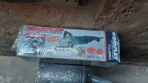 Machine Polisher - Worxflex