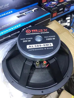 Professional Omax 15inch Speaker