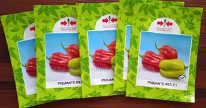 Piquante Red Hybrid Habanero ( East West Seed)