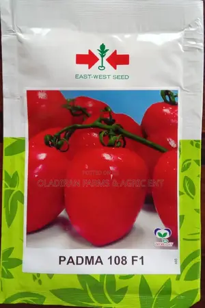 Padma F1 Tomato Seeds ( East West Seed)