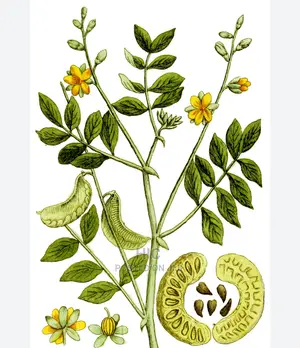 We Deal With All Kinds of Sickness,