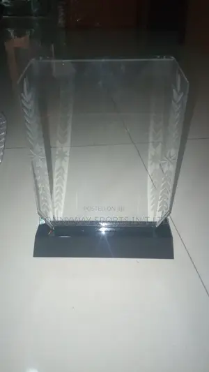 All Types Of Award Glasses
