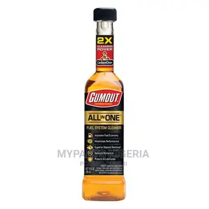 Gumout All in One Fuel System Cleaner.