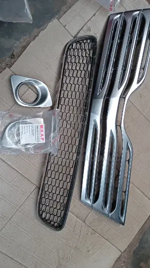 Front Grille Venza 010