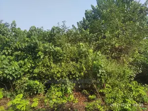 14000 Acres Commercial Land for Sale