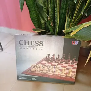 Chess Magnetic