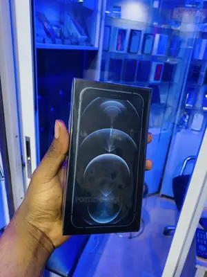 New Apple iPhone 12 Pro Max 256 GB Blue