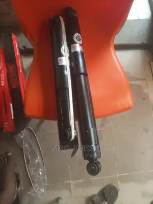 Rear Shock Absorber To