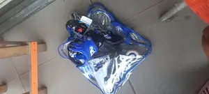 Skateshoe With Bag Blue