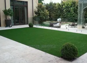 Nigeria Wholesaler of Artificial Grass Fro Wall/Floor Decor
