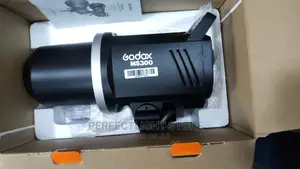 Ms 300 Light