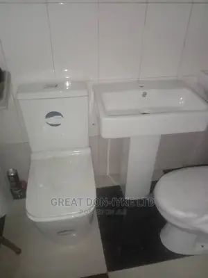 Exclusive Dual Flush Pressing WC Set