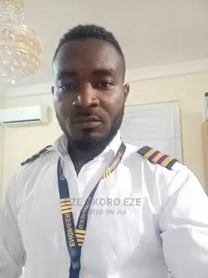 Licensed Aircraft Engineer