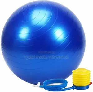 Exercise Gym Ball