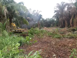 Bush Clearing Works
