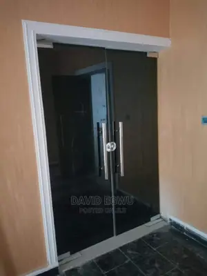 Frameless Glass Door