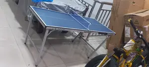Children Tennis Board Indoor Gsd
