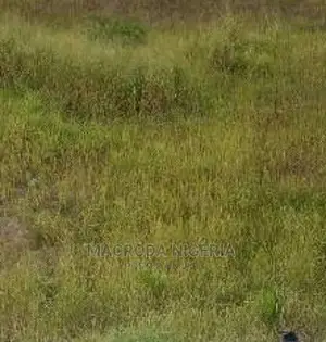 Half Plot at Olive Estate Measuring 400m2