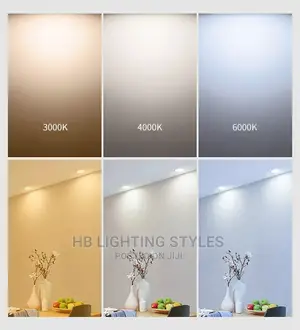 Surface Mounted Led Downlight