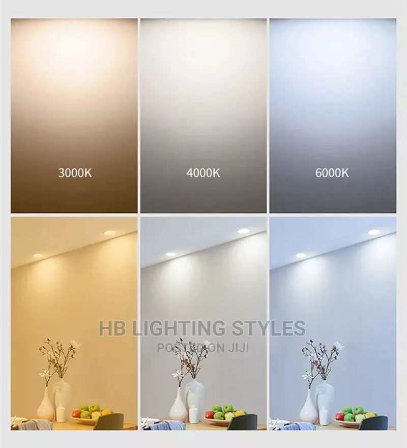 Surface Mounted Led Downlight
