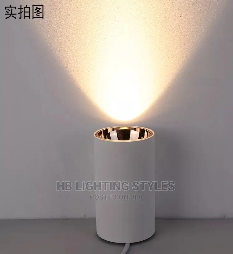 Surface Mounted Led Downlight