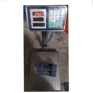 Original TCS Digital/Electronic Weighing Scale 100kg