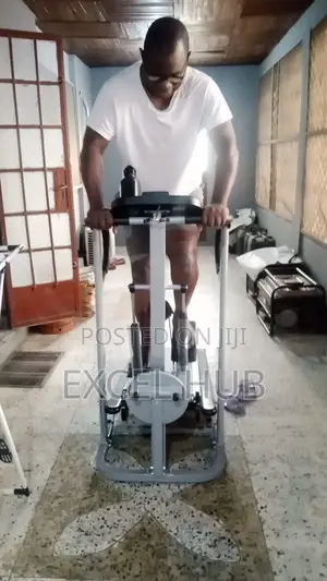 Manual Treadmill With Stepper And Twister A Fitness