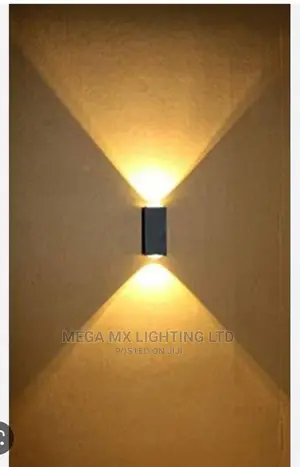 2 Way LED Indoor/Outdoor Wall Light