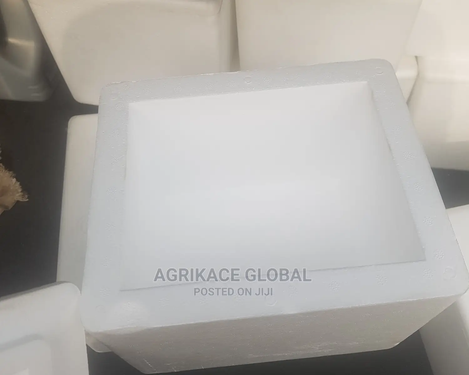 50 Liter Polystyrene Boxes