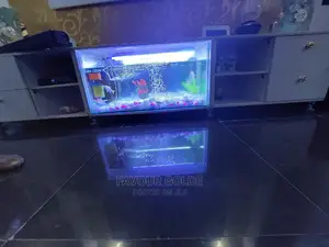 Tv Counsel Aquarium