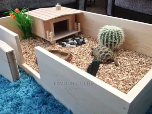 Indoor Turtle House