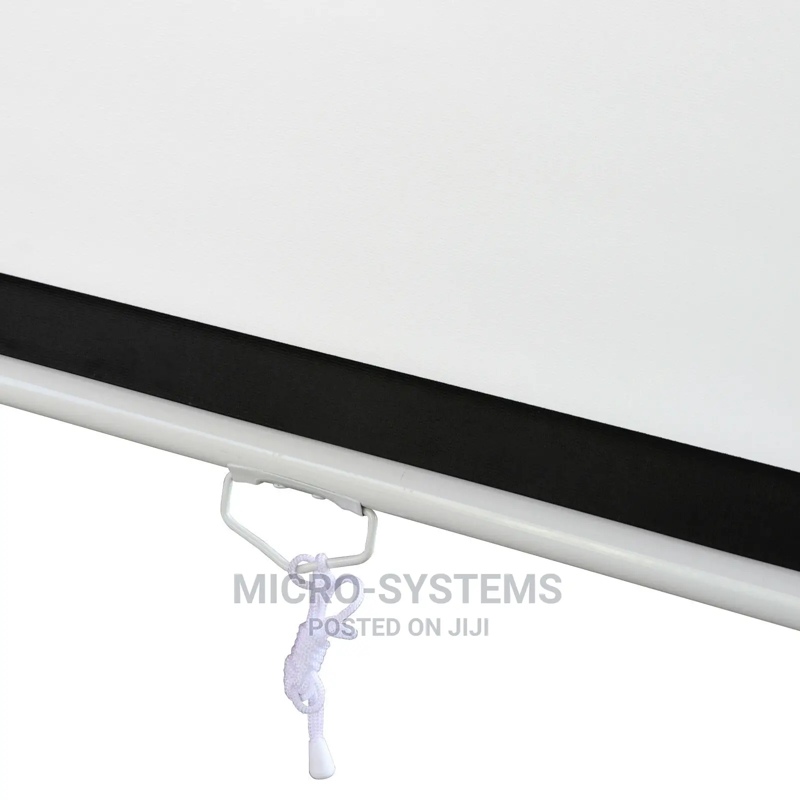 Projector Screen