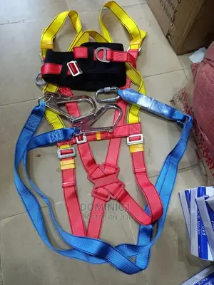 Body Harness